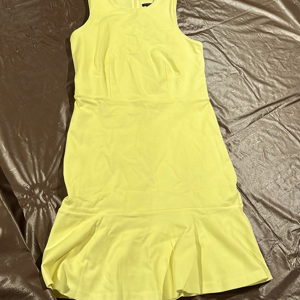Ann Taylor new peplum dress size 2